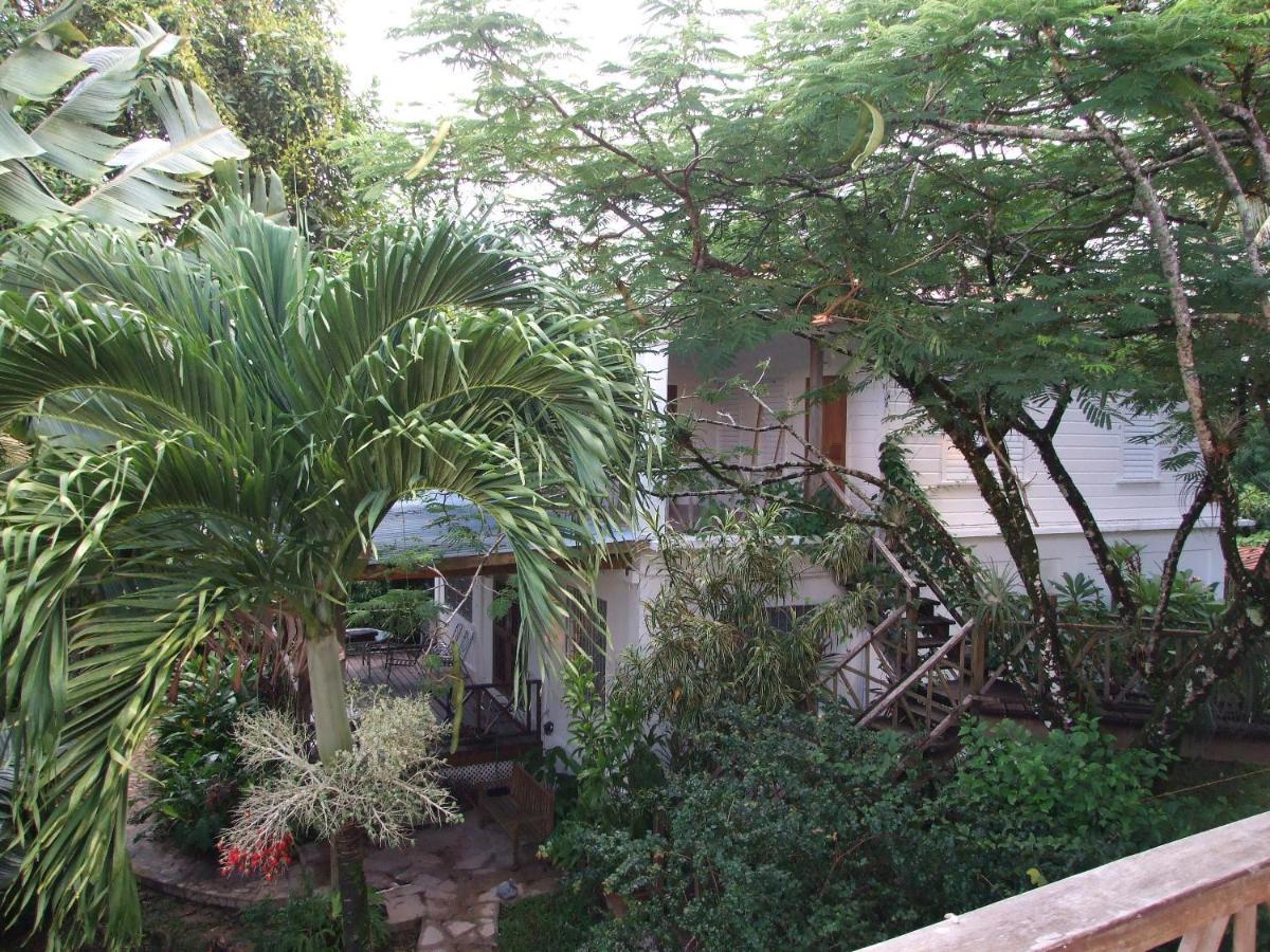 Bluebelize B&B Punta Gorda Eksteriør bilde