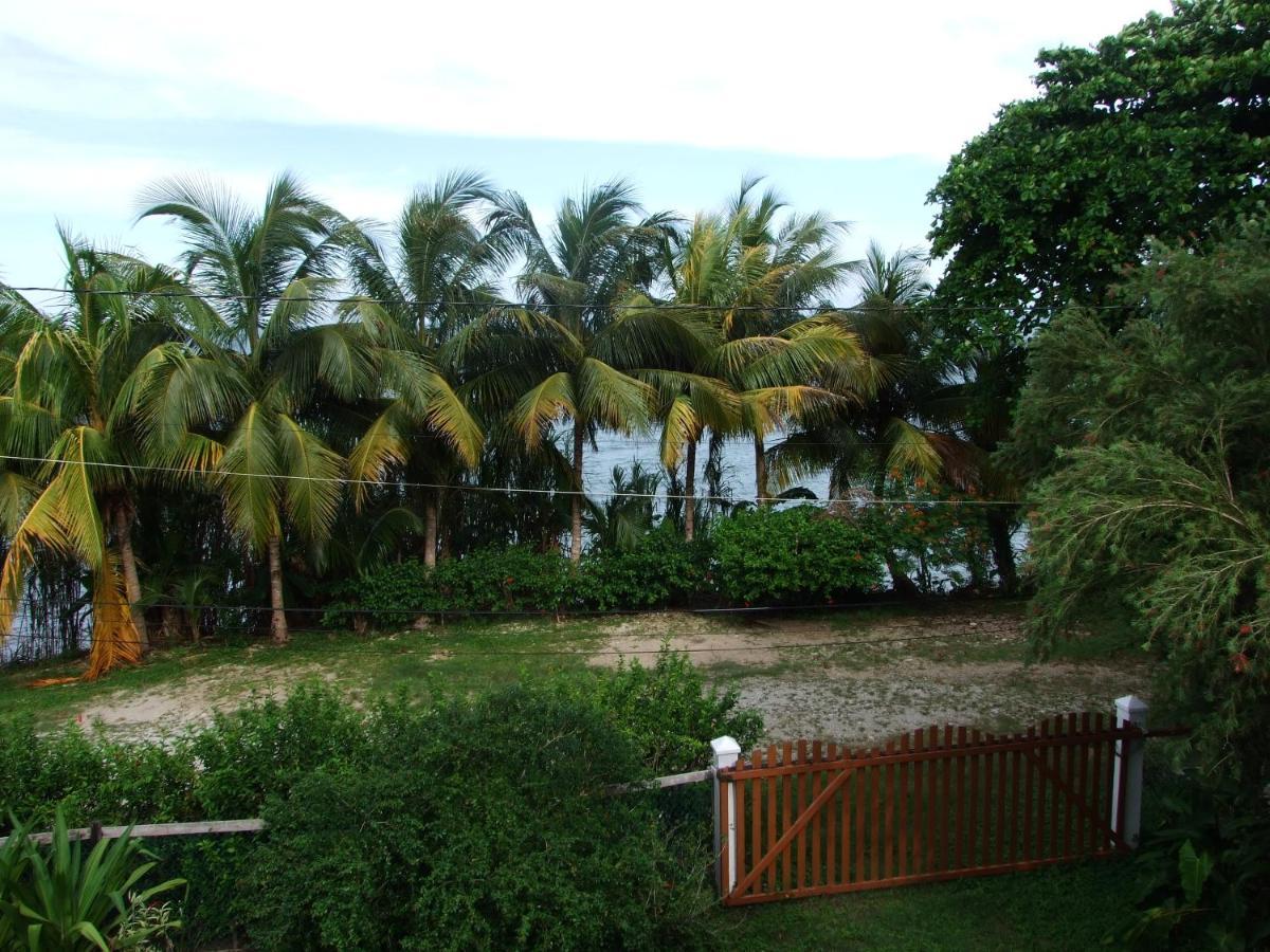 Bluebelize B&B Punta Gorda Eksteriør bilde