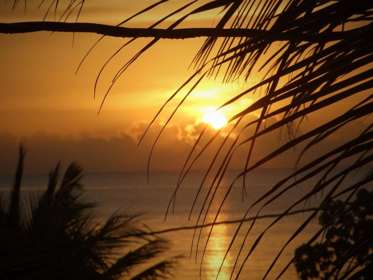 Bluebelize B&B Punta Gorda Eksteriør bilde