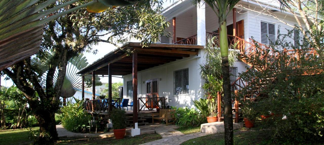 Bluebelize B&B Punta Gorda Eksteriør bilde