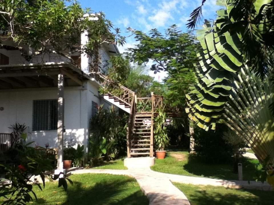 Bluebelize B&B Punta Gorda Eksteriør bilde